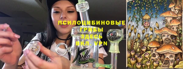 твердый Абаза