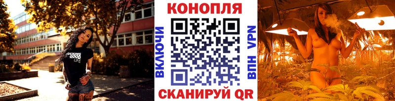 Канабис Bruce Banner  мега зеркало  Алатырь 